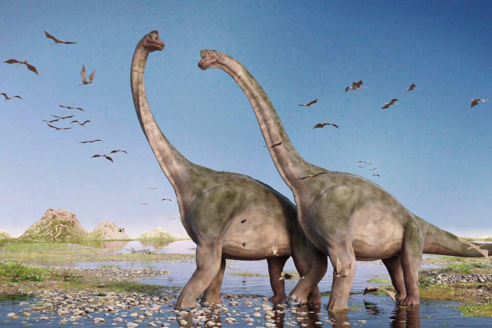Early dinosaurs benefited from changes in global climate