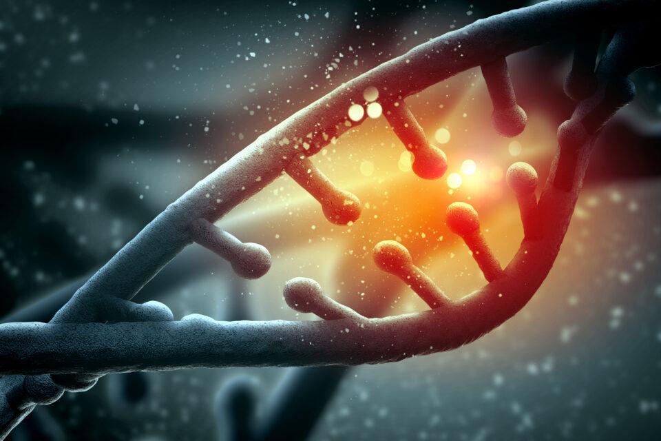 Discovery of new genes proves that humans continue to evolve