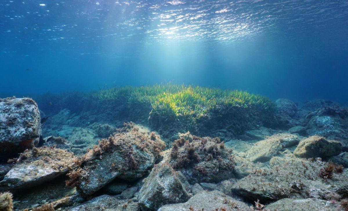 Microplastics have tripled on the seafloor in the past 20 years