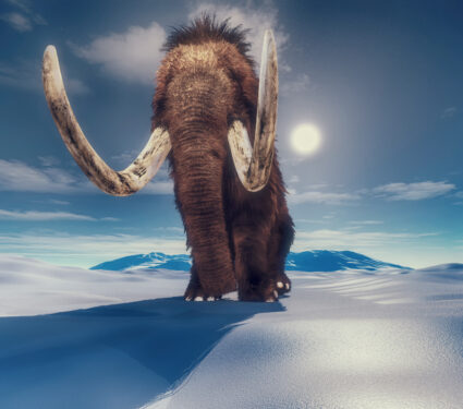 Mammoth,In,The,Middle,Of,Mountains,.,This,Is,A