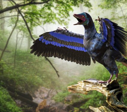 Bird-dinosaur.jpg