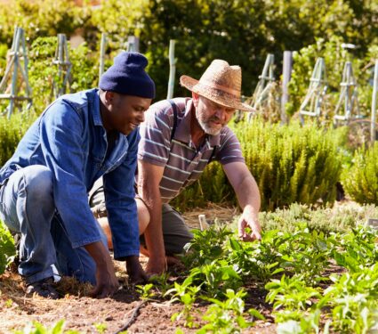 Gardening-1.jpg