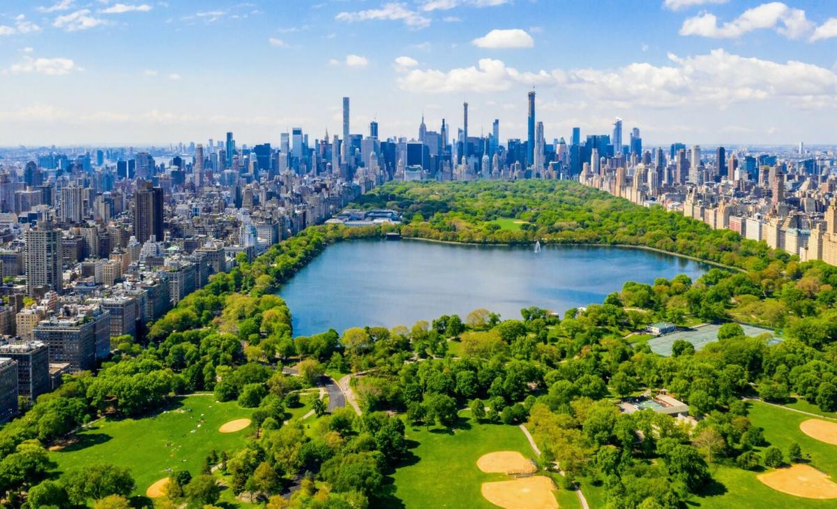 New York City greenery absorbs vast amounts of carbon