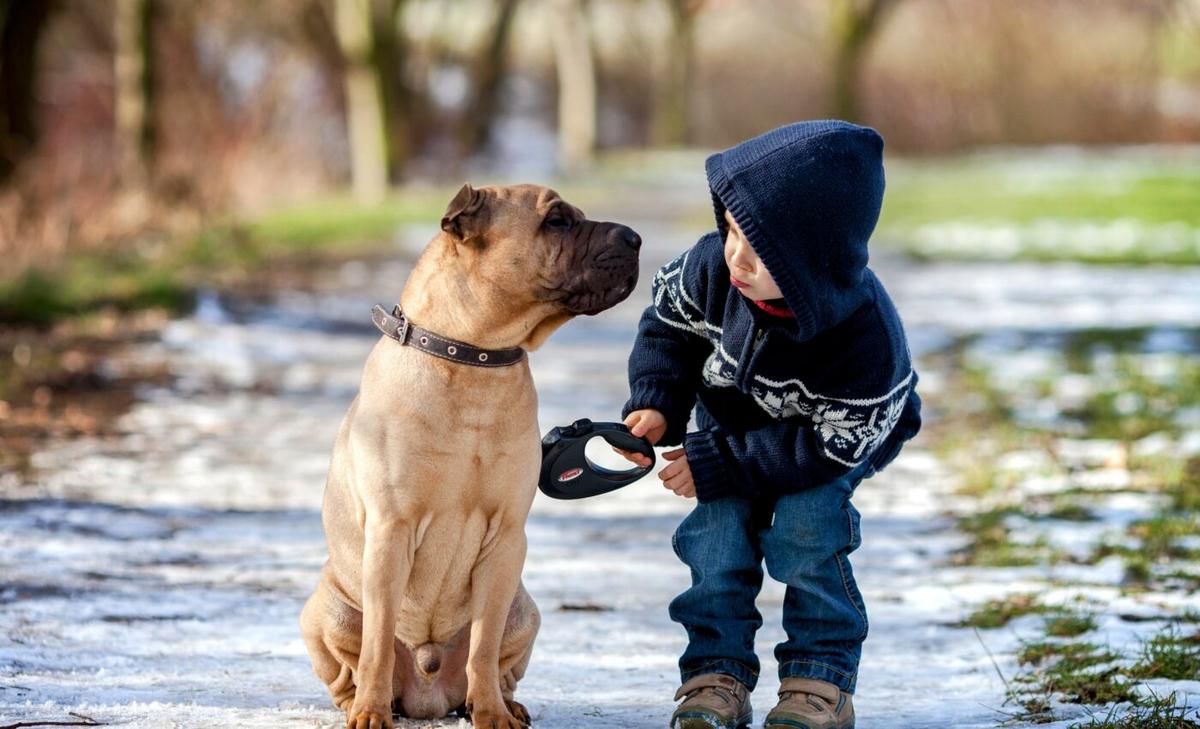 Prosocial behavior by young children extends to dogs