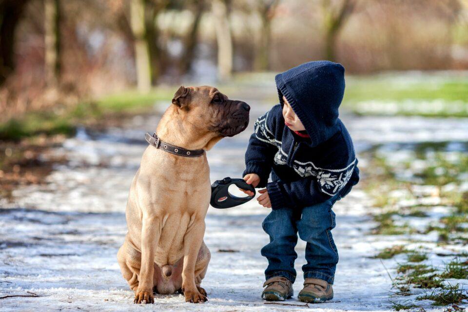 Prosocial behavior by young children extends to dogs