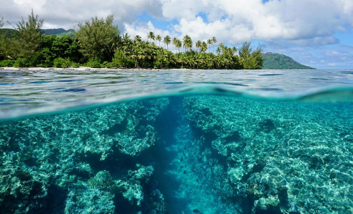 Tropical winds support the world's most productive ocean systems