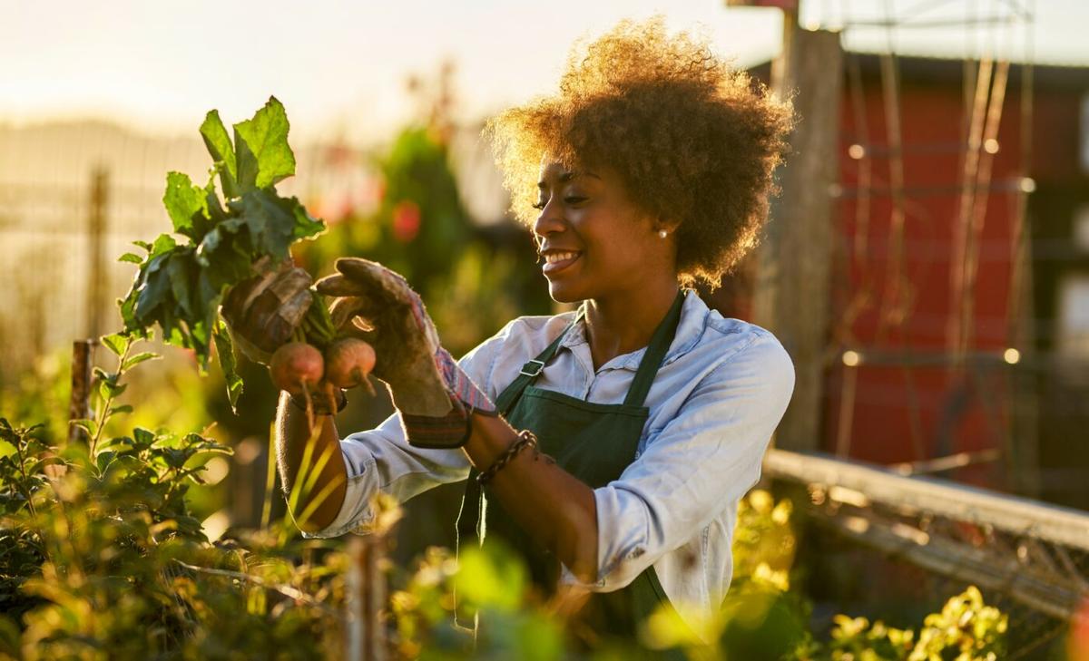 Gardeners can make small changes to benefit pollinators