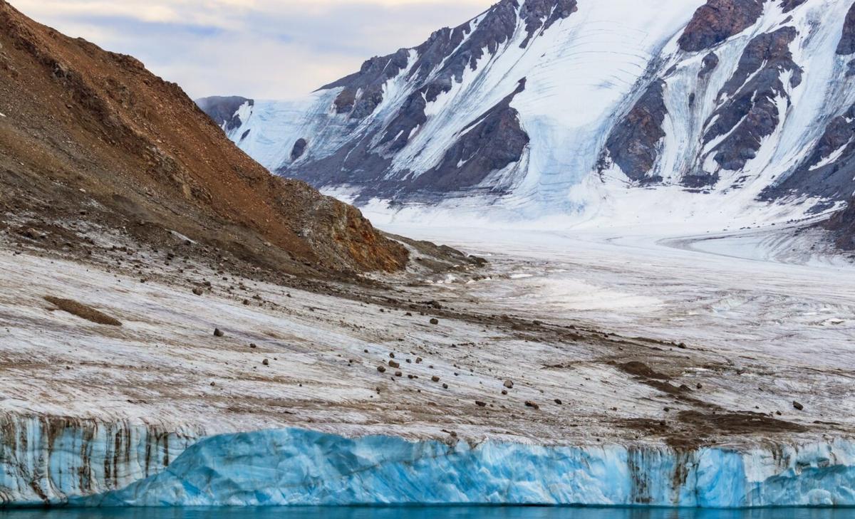 Mysterious primates lived in the Arctic 52 million years ago