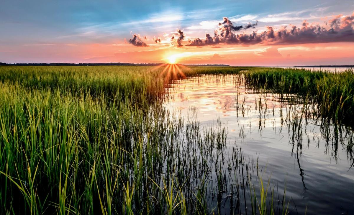 Can coastal marshes withstand future sea level rise?