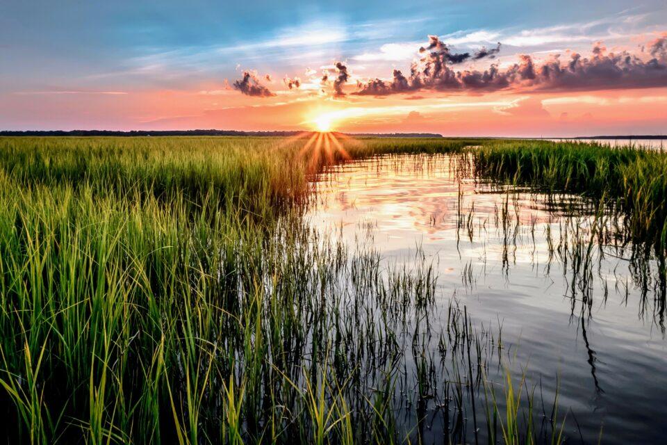 Can coastal marshes withstand future sea level rise?