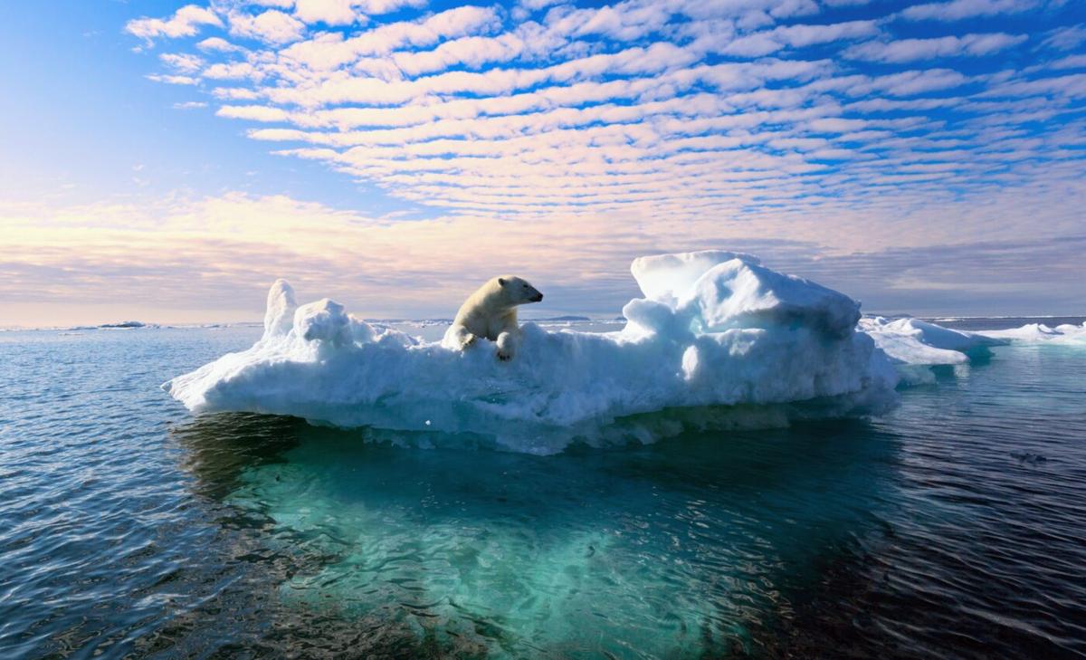 Limiting global warming to 1.5 degrees is not plausible