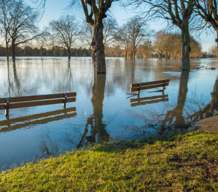 Partially,Submerged,Benches,On,A,Flooded,Riverbank,In,Windsor