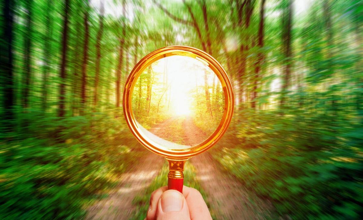 Citizen scientists gain a stronger connection with nature
