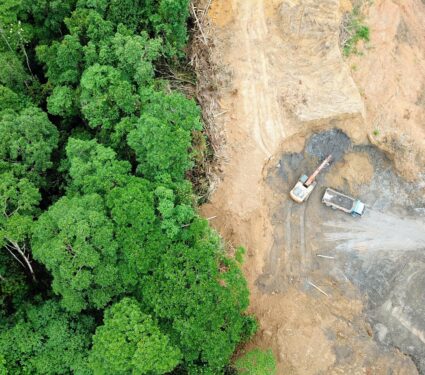 Tropics-deforestation.jpg