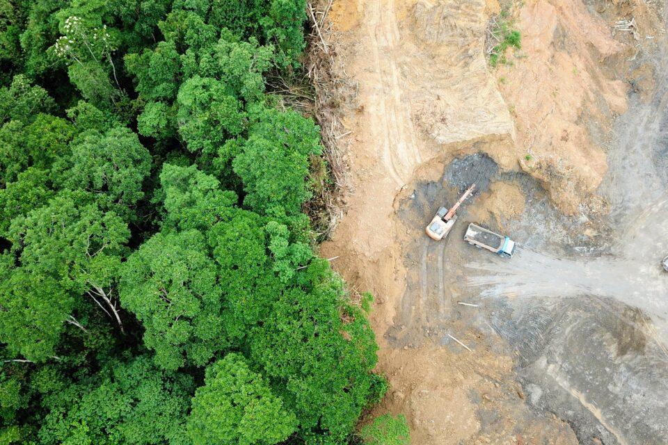 Deforestation in the tropics linked to reduced rainfall
