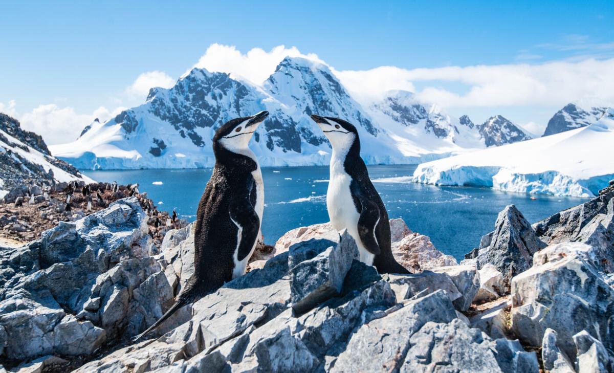 Antarctic sea ice hits a new record low this year