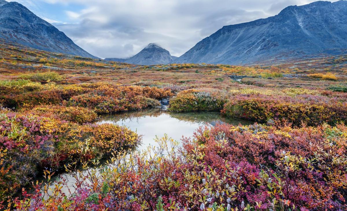 Climate change is transforming Arctic rivers in unexpected ways