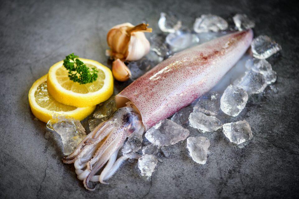 Squid fishing vessels take advantage of unregulated waters