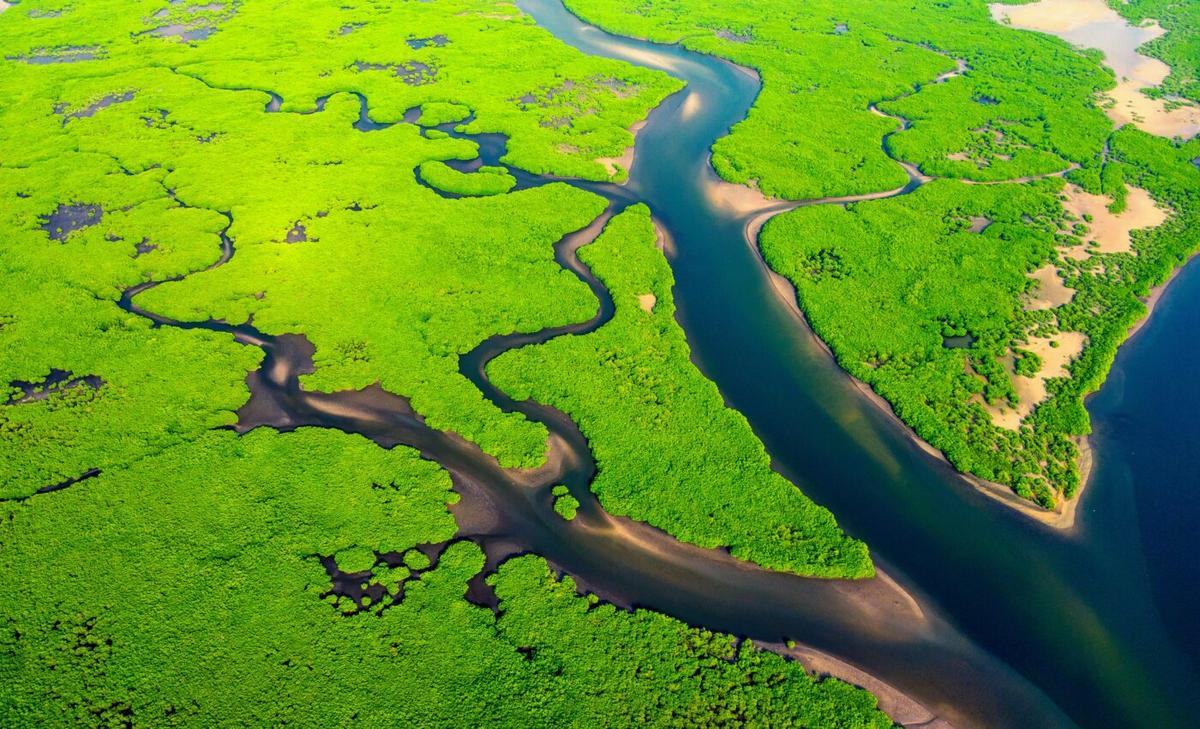 River deltas are threatened by human activities