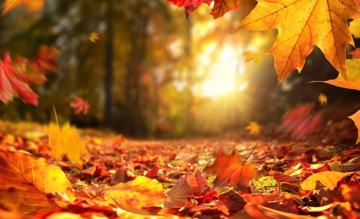 Global warming increases the frequency of fall heatwaves