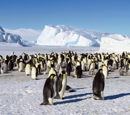 East-Antarctic.jpg