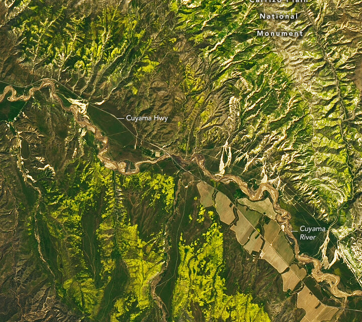 "Seasonal spectacle" of wildflowers in southern California 