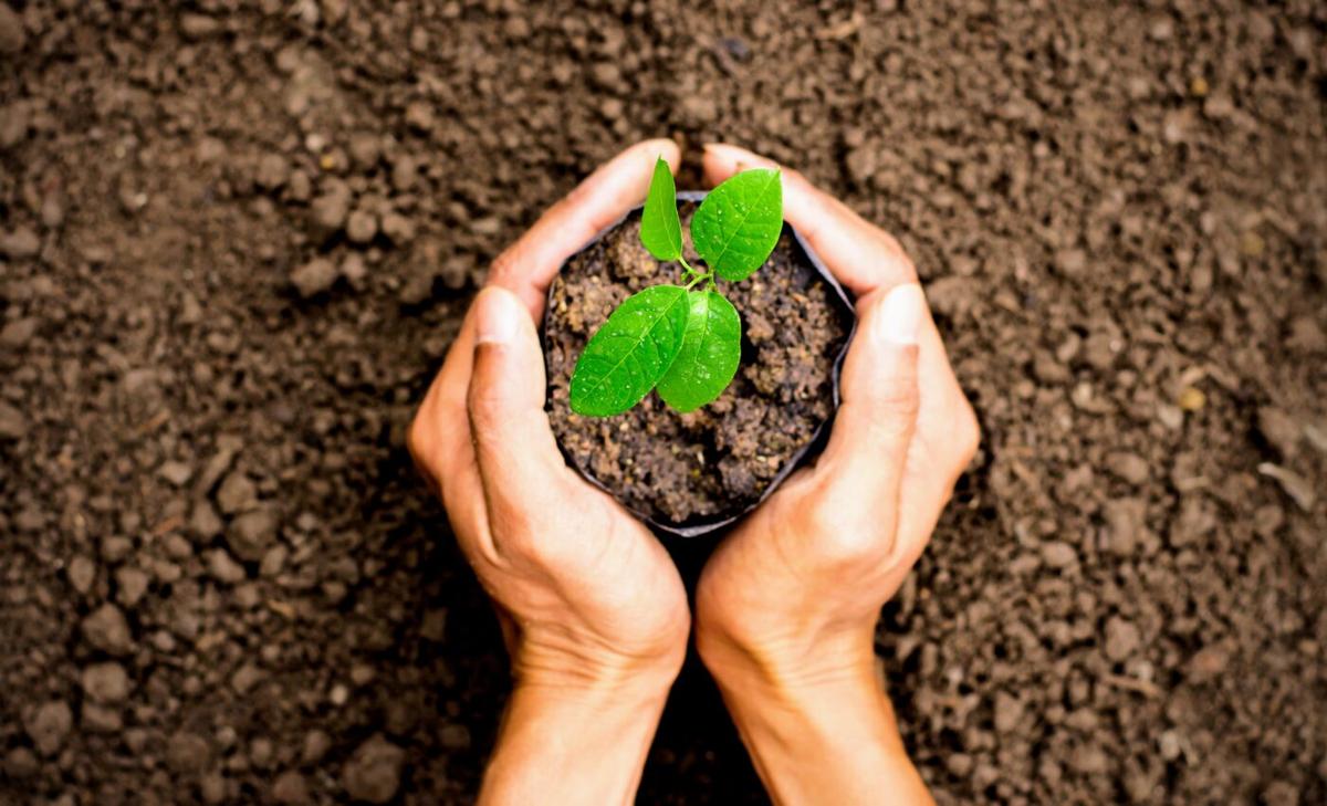 Celebrate Earth Day by investing in our planet