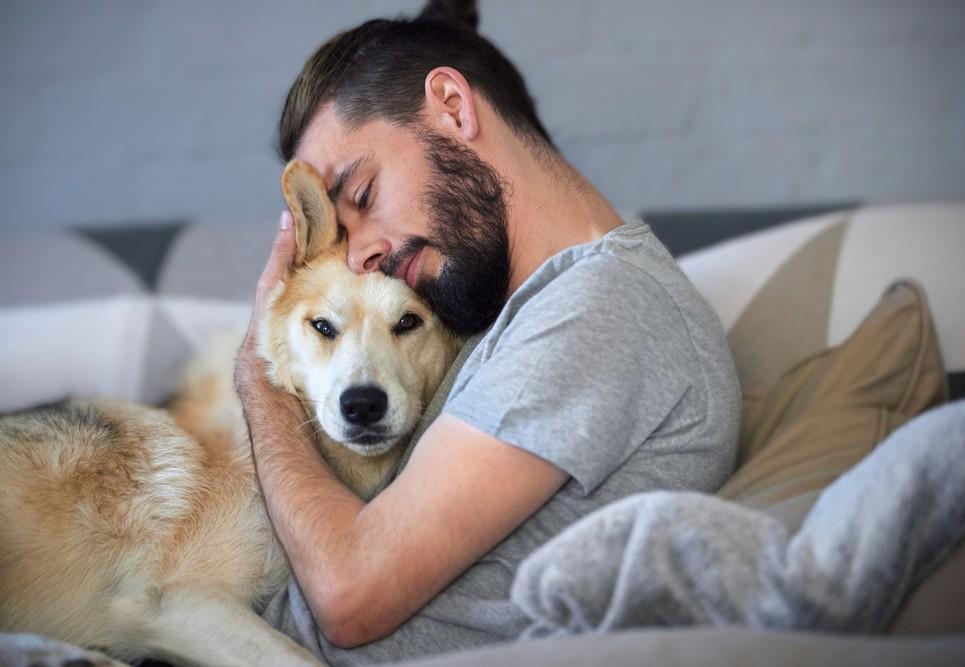Pets and owners had complex relationships during the pandemic
