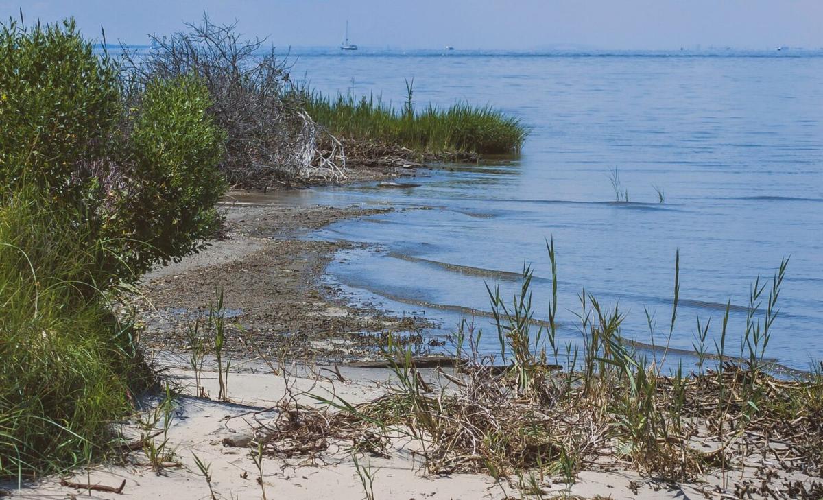 Sinking ground amplifies flood risk from sea level rise