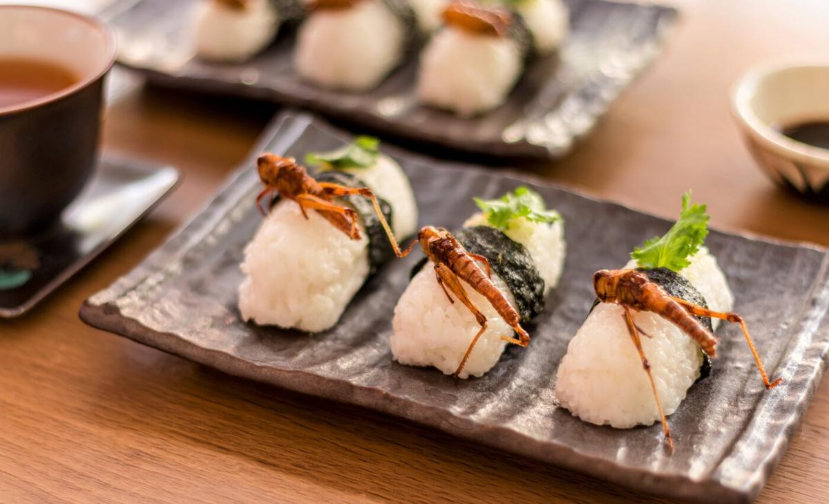 Edible insects could benefit individual and global health