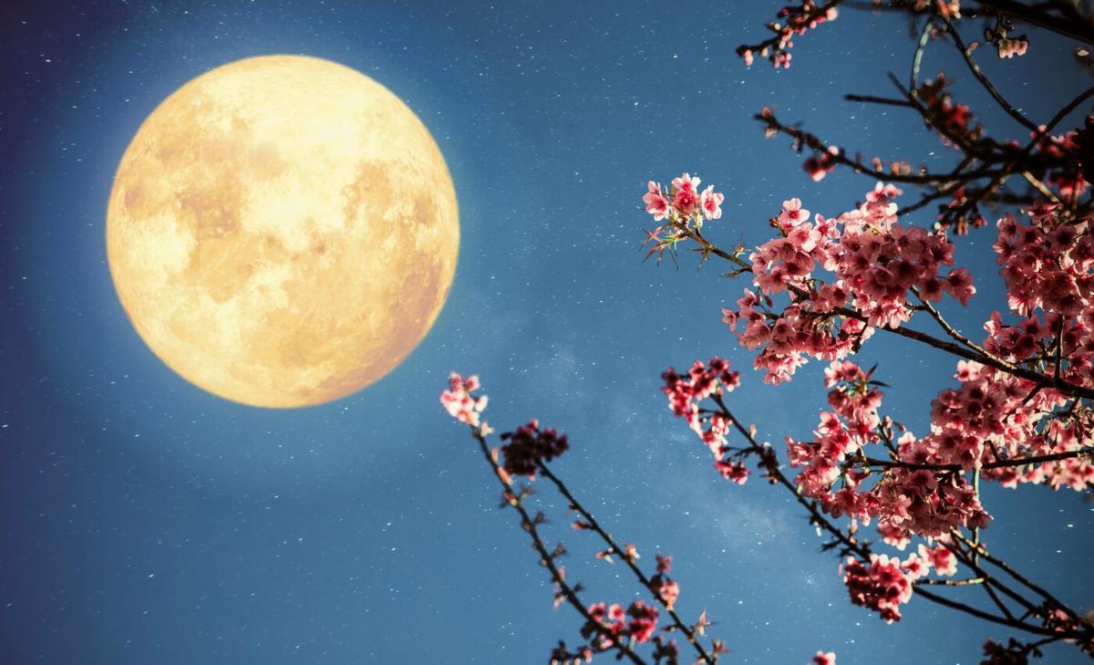 Skywatchers delight: Flower Moon, lunar eclipse, and a meteor shower this weekend