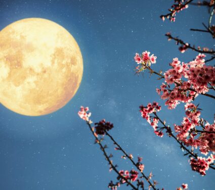 Flower-Moon.jpg