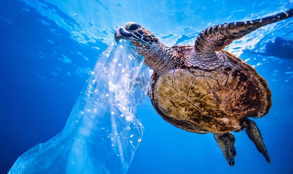 Plastic debris dropped into the ocean can travel hundreds of miles while sinking - Earth.com