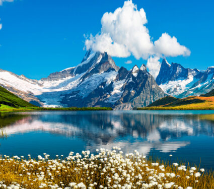 Sunrise,View,On,Bernese,Range,Above,Bachalpsee,Lake.,Peaks,Eiger,
