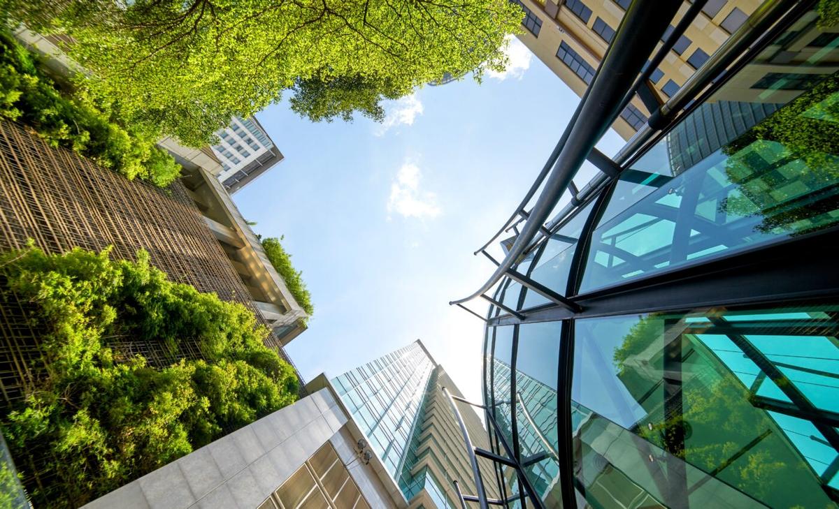 Can future cities store as much carbon as forests?