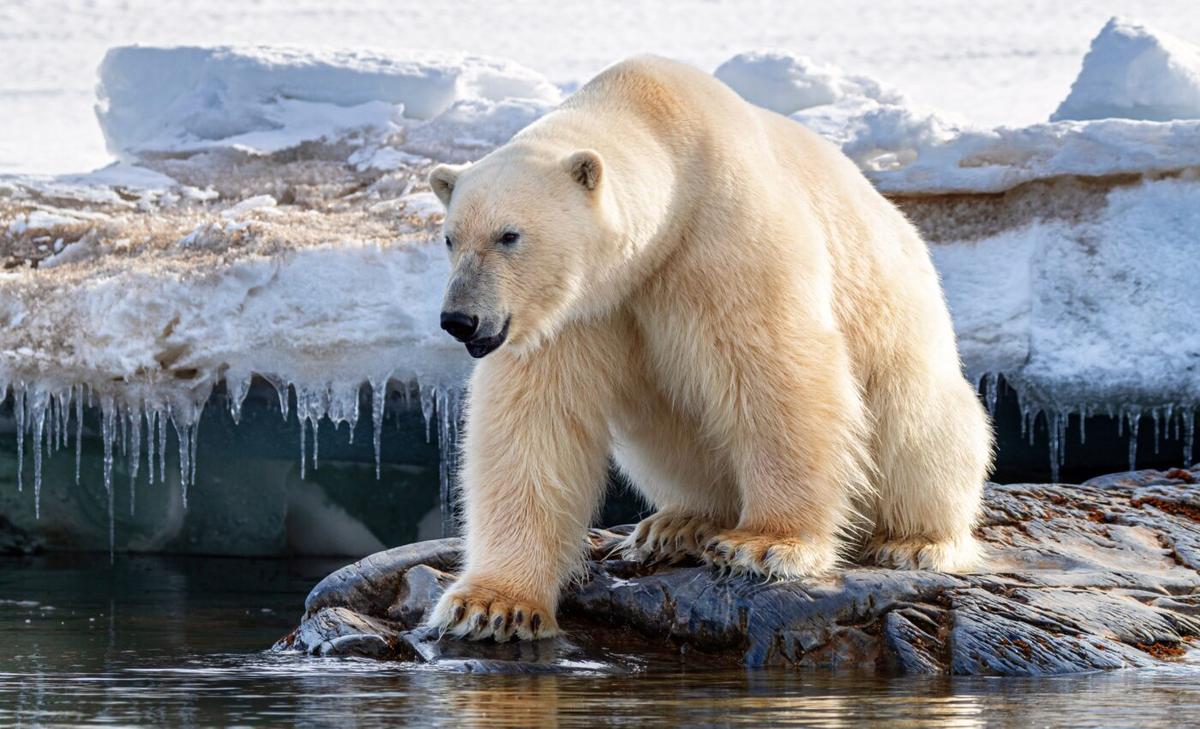 Climate change will abruptly push species over their tipping points