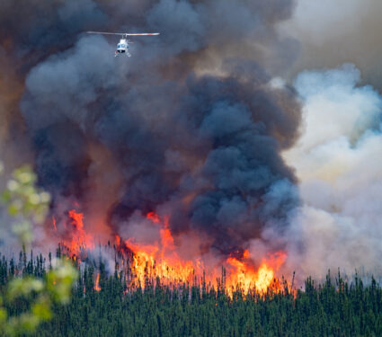 Wild,Forest,Fire,In,Canada