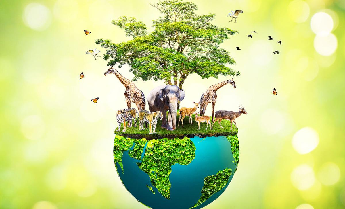 Endangered Species Day: Millions of species share the Earth with humans, and they need our help