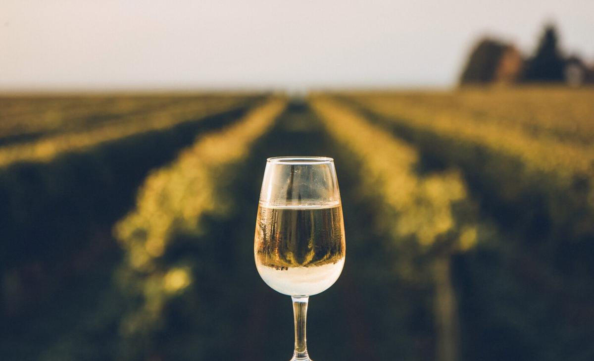 Wine drinking in the Americas traced back to the 15th century