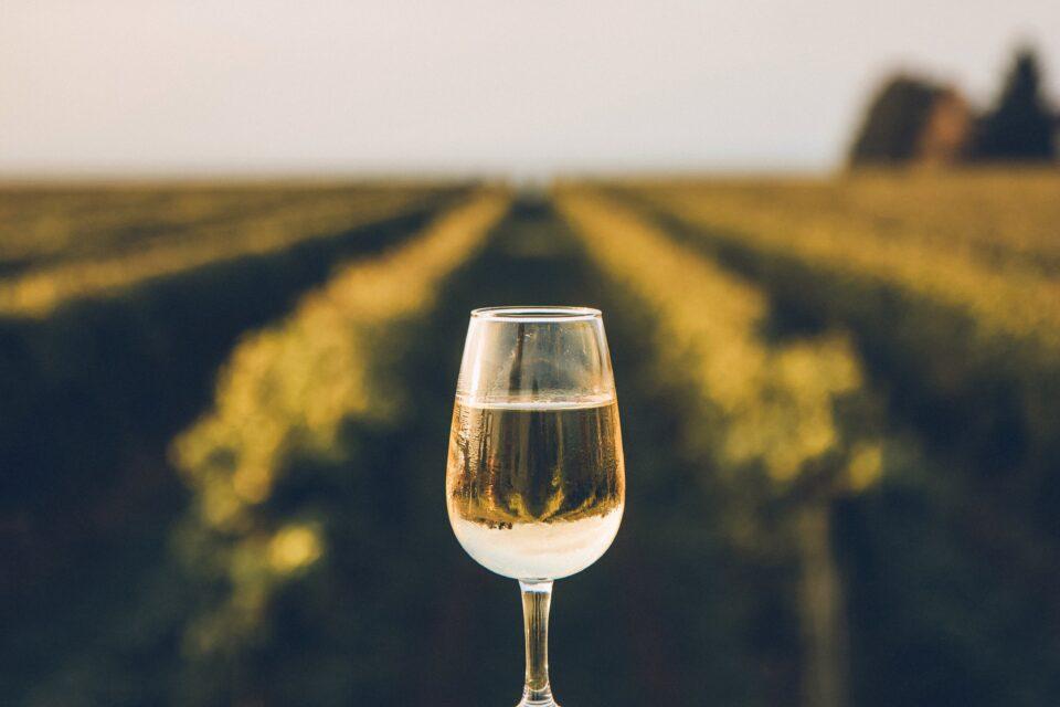 Wine drinking in the Americas traced back to the 15th century