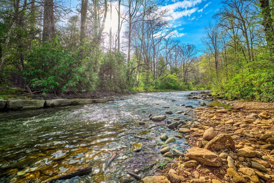 Fish evolution and biodiversity is shaped by river erosion