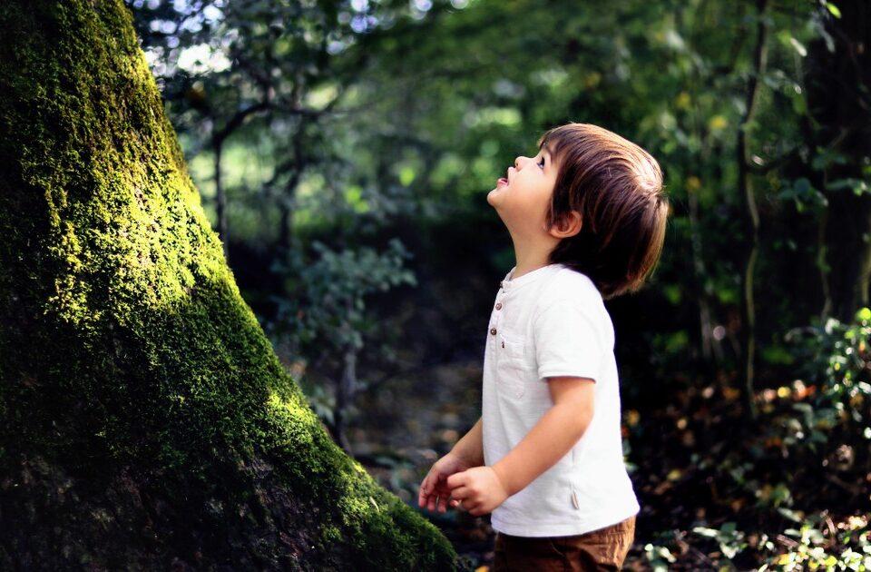 Are children more curious than apes? Yes, and no, finds new study