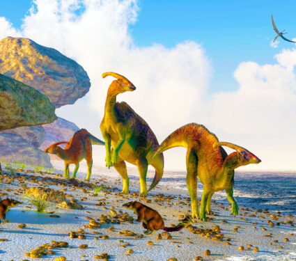 Three,Parasaurolophus,Stand,On,A,Rock,Beach.,Pterasaurs,Fly,Over