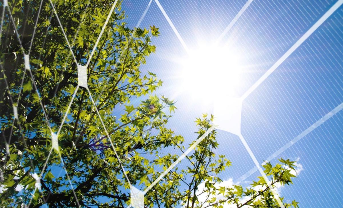 The world's renewable energy capacity will take a record leap this year