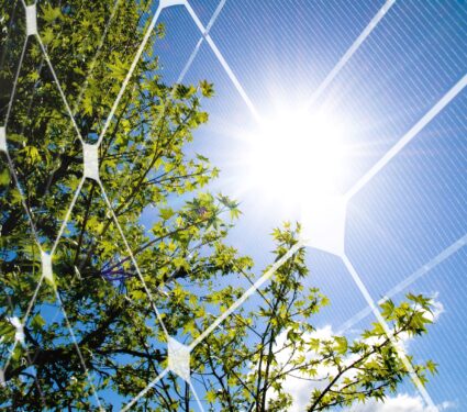 Tree,At,Spring,Against,The,Sun,And,Photovoltaic,Panel