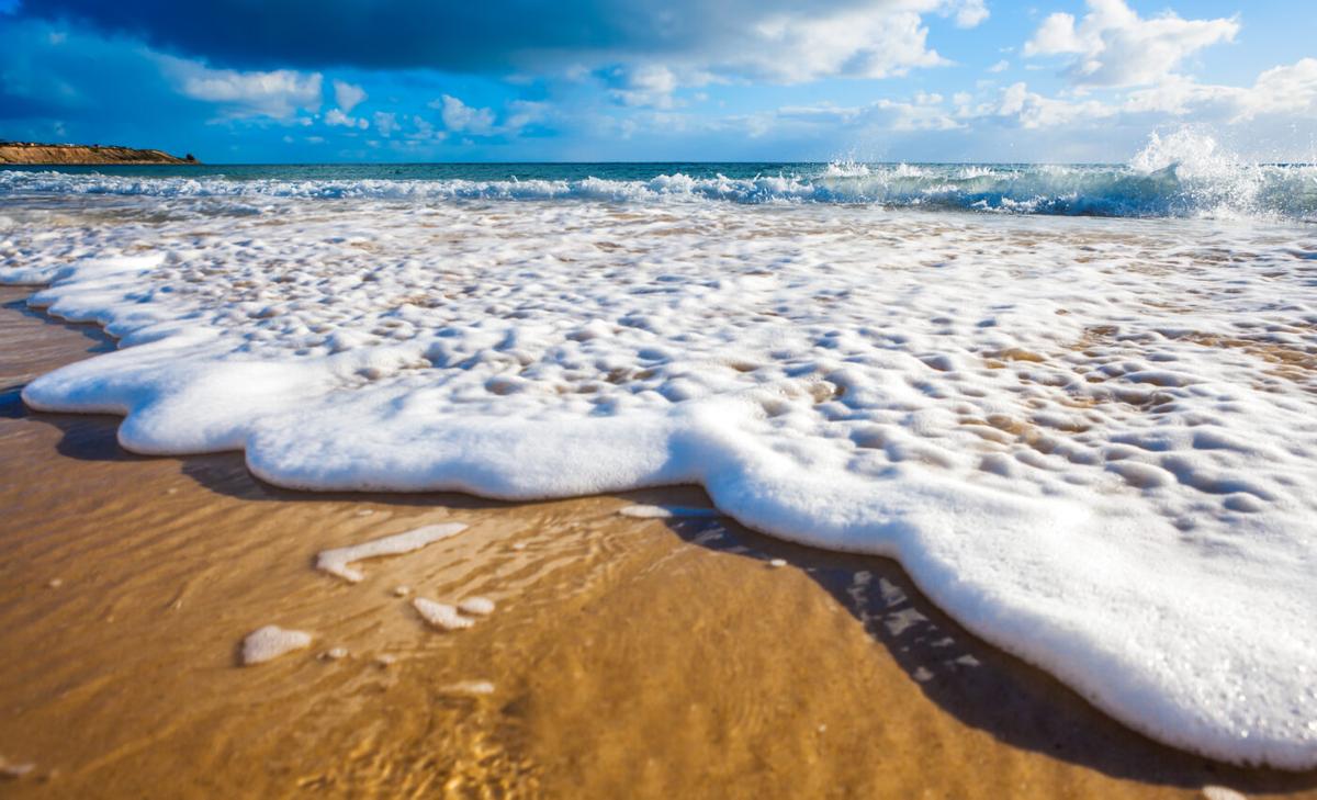World Oceans Day 2023: The tides they are a changin'