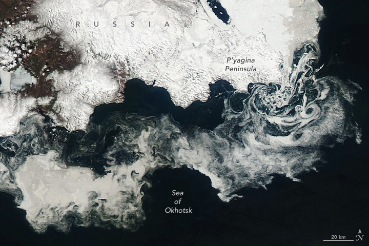 Drifting ice in the Sea of Okhotsk