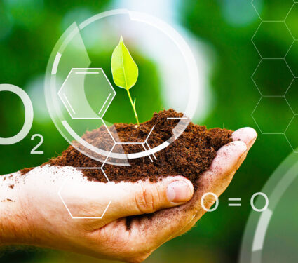 Closeup,Of,Male,Hand,Carefully,Holding,Little,Sprout.,Photosynthesis,Responsible