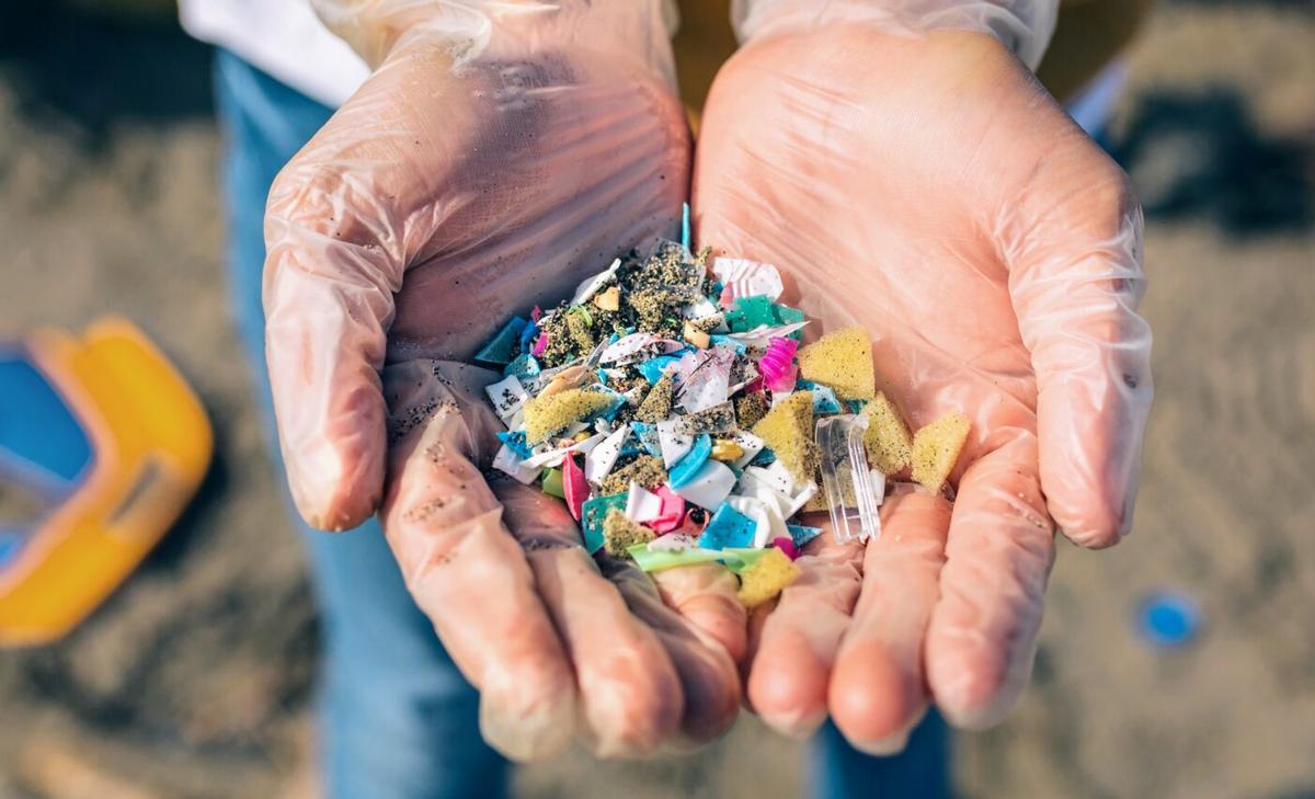 Humans inhale the equivalent of a credit card in microplastics each week