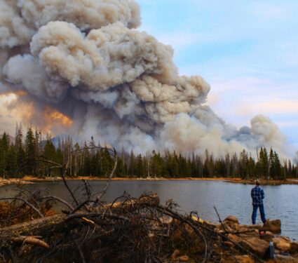 Wildfire-smoke-2.jpg